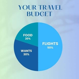 Budget for travel Budget for travel