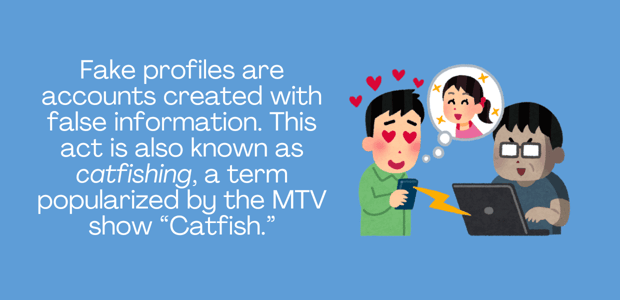 Graphic with text explaining catfish definition