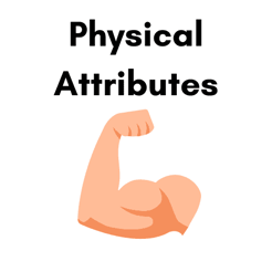 Physical attributes bicep