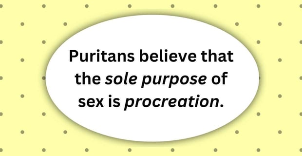 Puritans believe that the sole purpose of sex is procreation. Puritans believe that the sole purpose of sex is procreation.