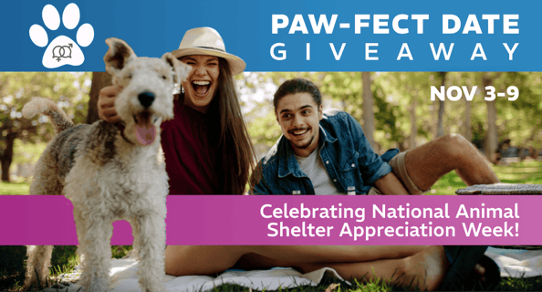 National Animal Shelter Week Paw Fect Date Giveaway