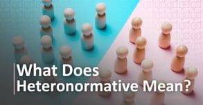 What Does Heteronormative Mean?