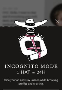 Incognito mode