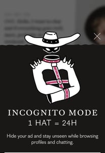 Incognito mode