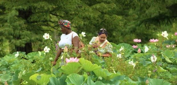two people exploring the kenilworth park and aquatic gardens
