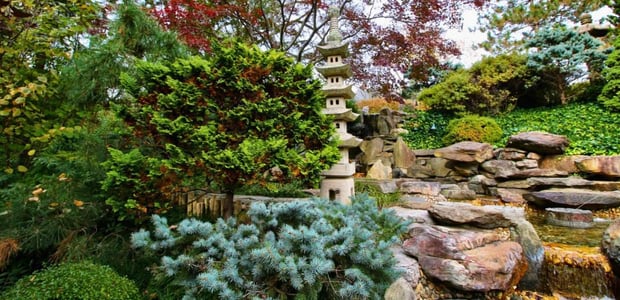 colorful gardens at the hillwood mansion