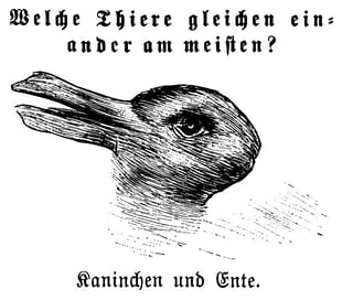 A photo of the duck/bunny picture, which shows a sketch of a bunny or of a duck A photo of the duck/bunny picture, which shows a sketch of a bunny or of a duck