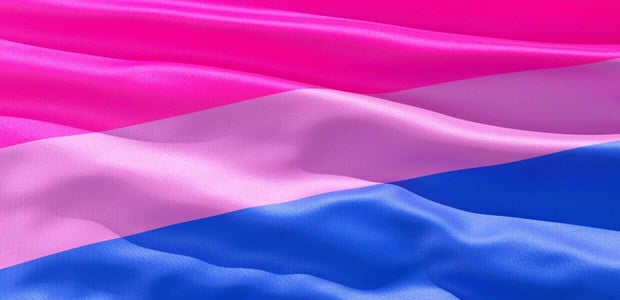 Close up of bisexual pride flag. Close up of bisexual pride flag.