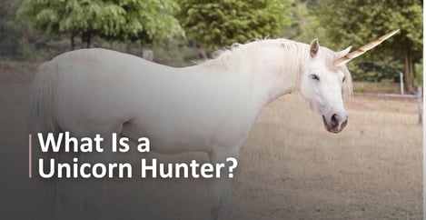 What Is A Unicorn Hunter