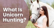 What Unicorn Hunting Is &amp; Why It’s Controversial