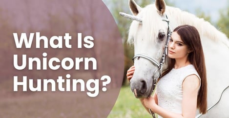 What Unicorn Hunting Is Why Its Controversial