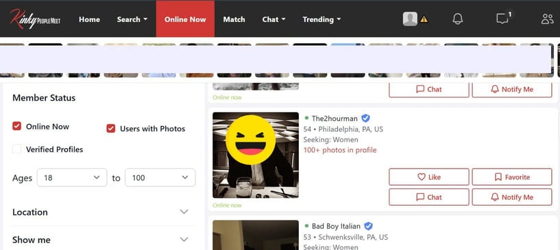 KinkyPeopleMeet's online now section