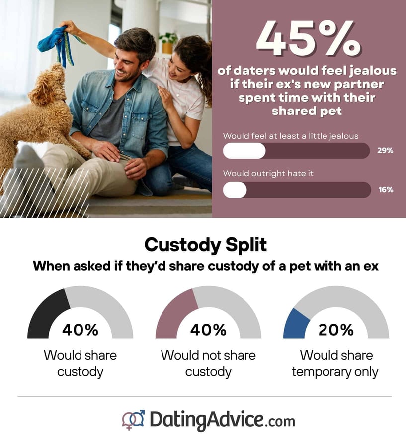 45% of daters would feel jealous if a ex's new partner spent time with their shared pet