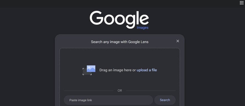 Google's reverse image search page