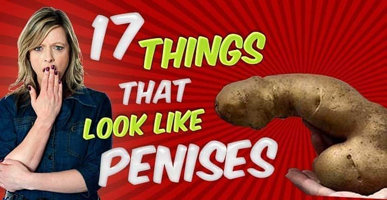 Do You Like Penis