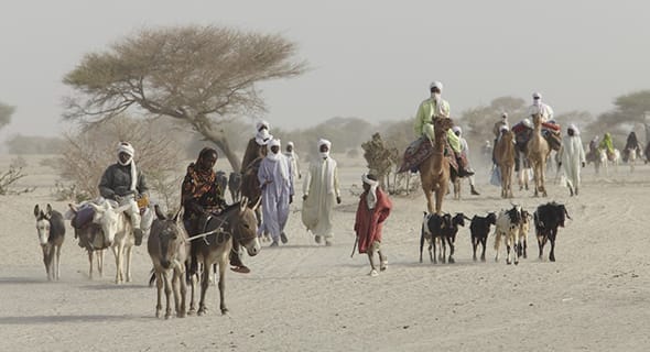 Study: Exposure to Recent Drought Events Raises HIV Risk in Africa
