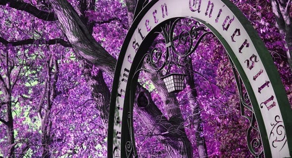 Northwestern University
