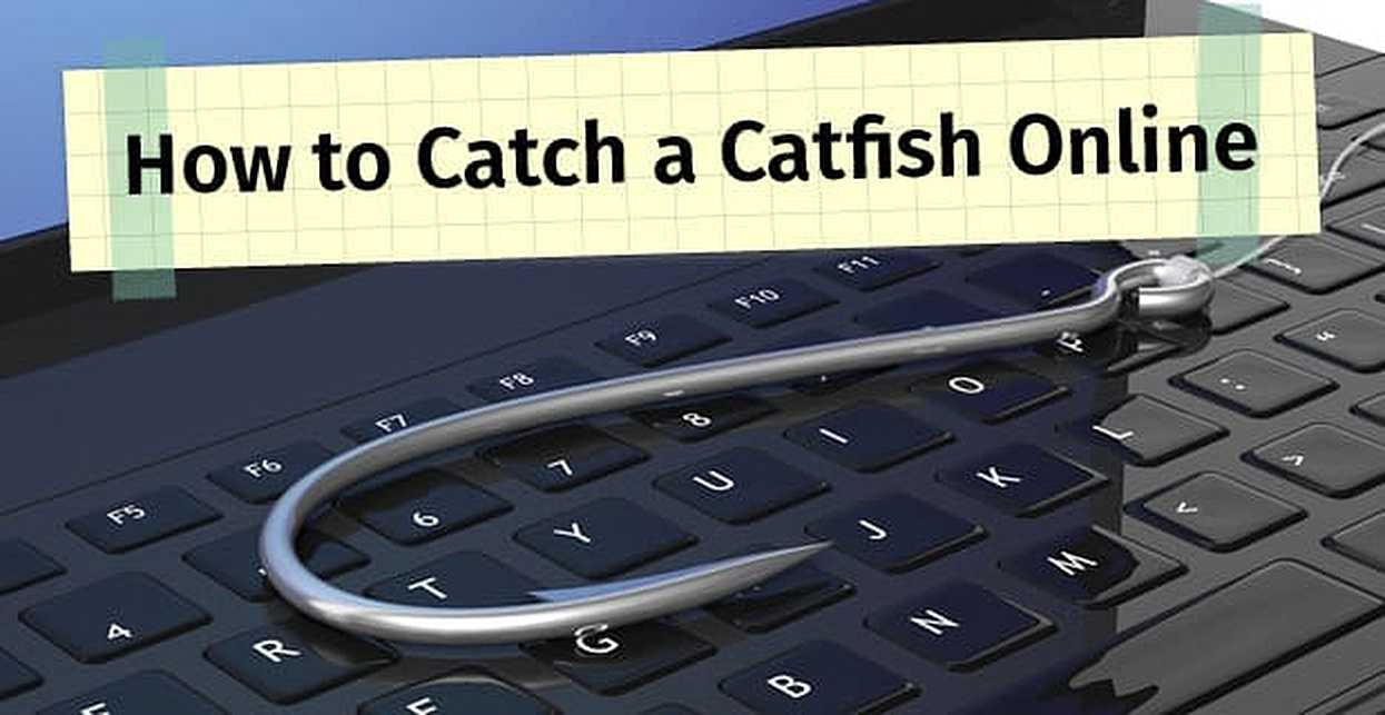 How do you find catfish online?