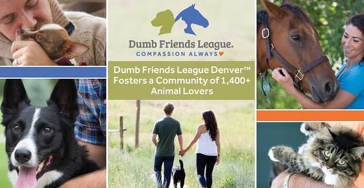 deaf and dumb dating sites in usa