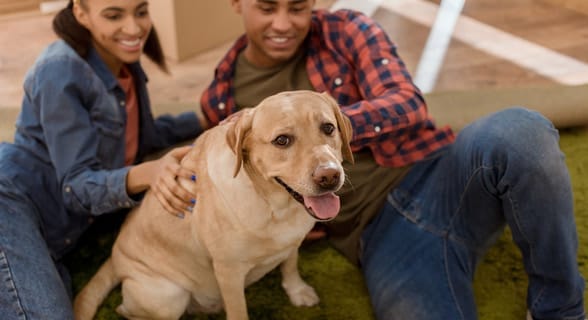 Photo of a couple with a dog Photo of a couple with a dog