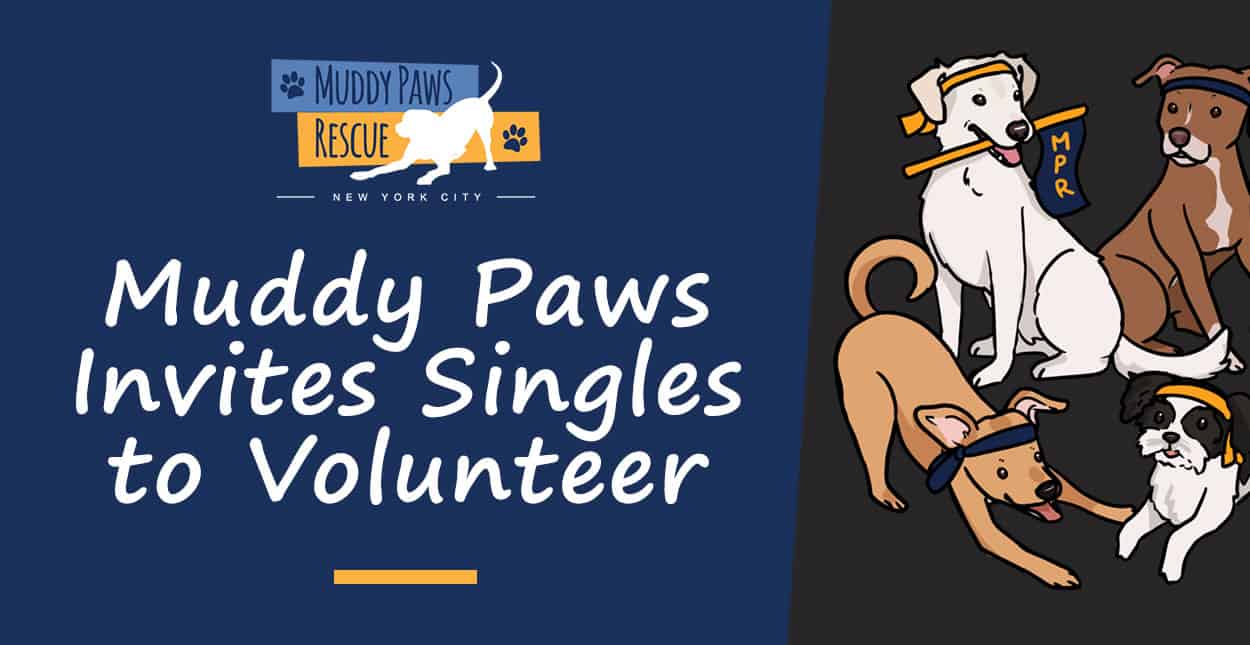 The Muddy Paws Rescue Group Invites Singles to Join its Volunteer Community